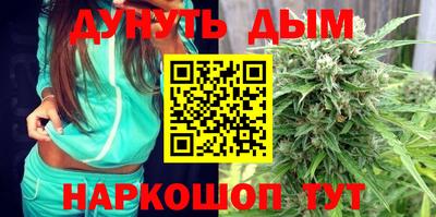 альфа пвп Новодвинск