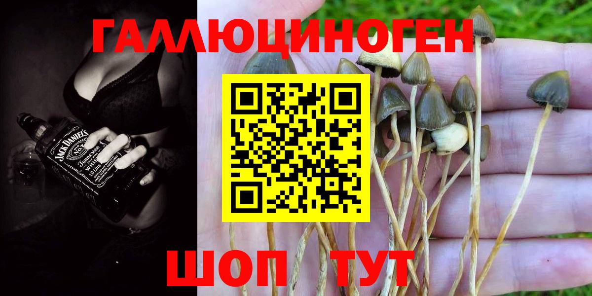 Псилоцибиновые грибы Cubensis  сколько стоит  Тимашёвск  Вход с VPN 